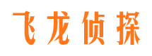 崇文调查公司